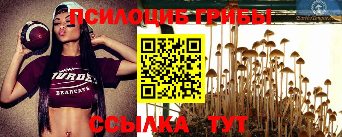 Галлюциногенные грибы Psilocybine cubensis Валуйки